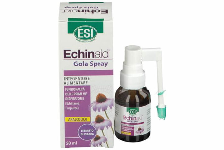 Esi Echinaid